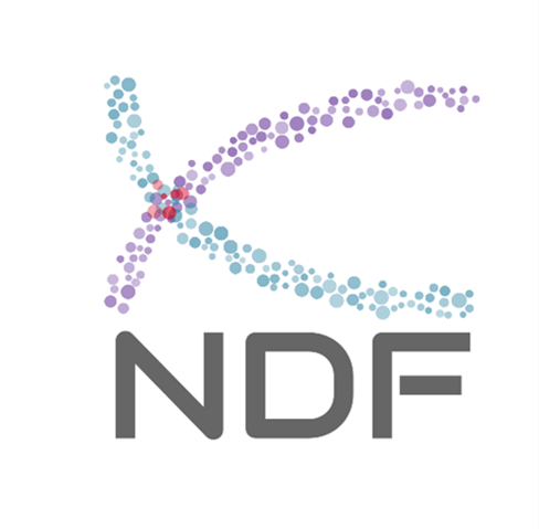About_NDF_2